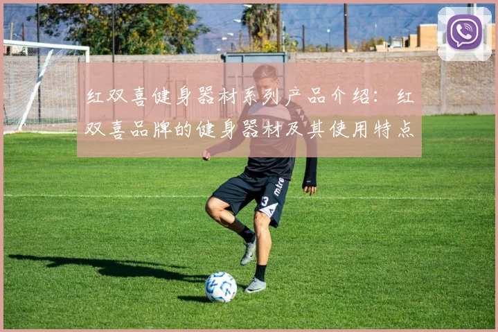 红双喜健身器材系列产品介绍:红双喜品牌的健身器材及其使用特点
